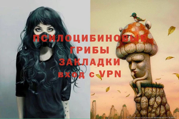 амфетамин Алексеевка