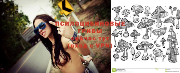 дмт Абаза